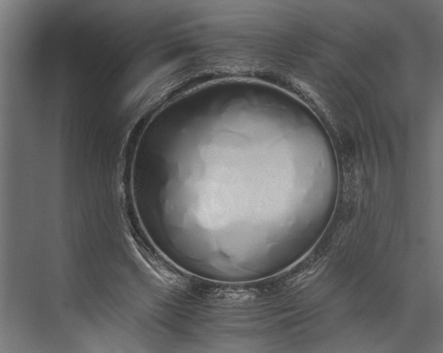 X0000073840443200608241021