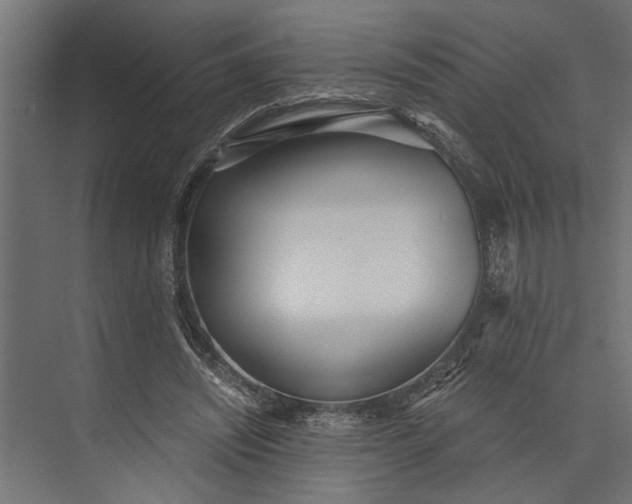 X0000073840444200608241021