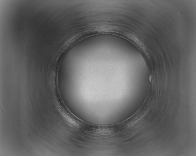 X0000073840445200608241021