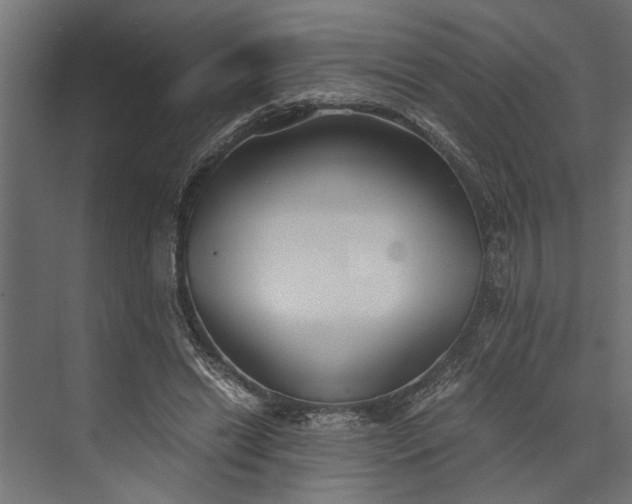 X0000073840446200608241021