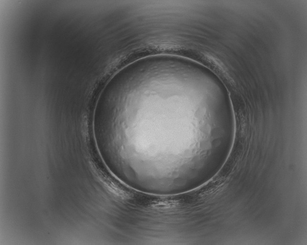 X0000073840447200608241021