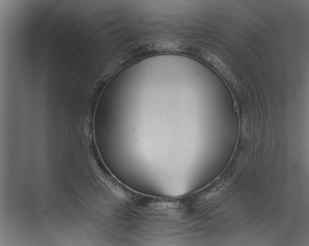 X0000073840449200608241021