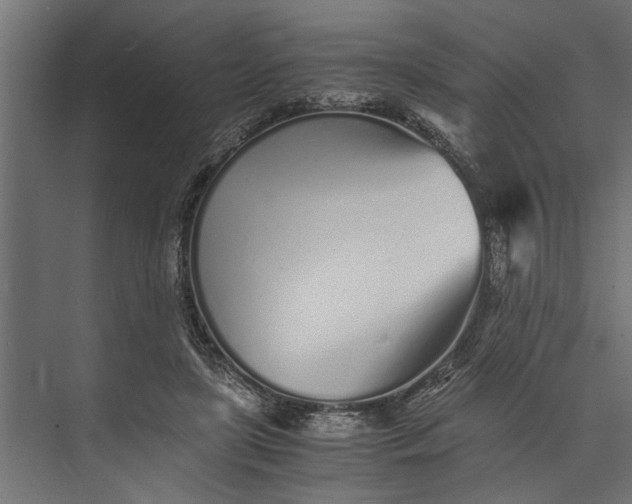 X0000073840451200608241021