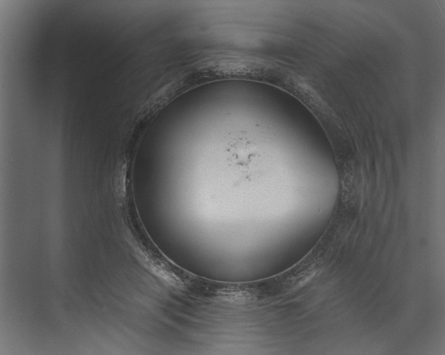 X0000073840454200608241021