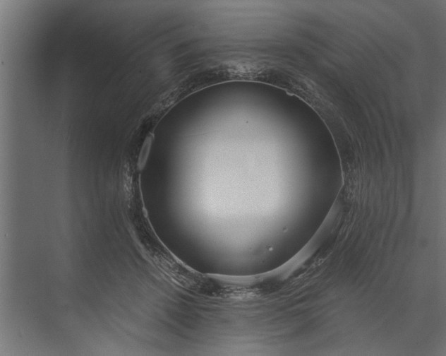 X0000073840456200608241021