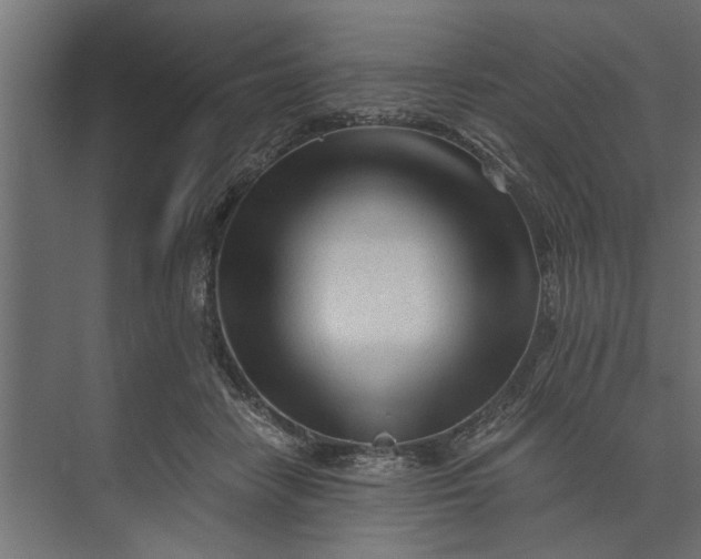 X0000073840458200608241021