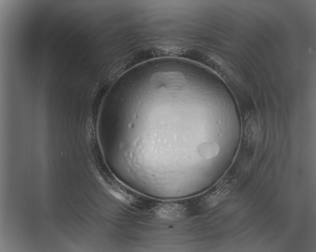 X0000073840459200608241021