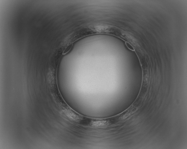 X0000073840461200608241021