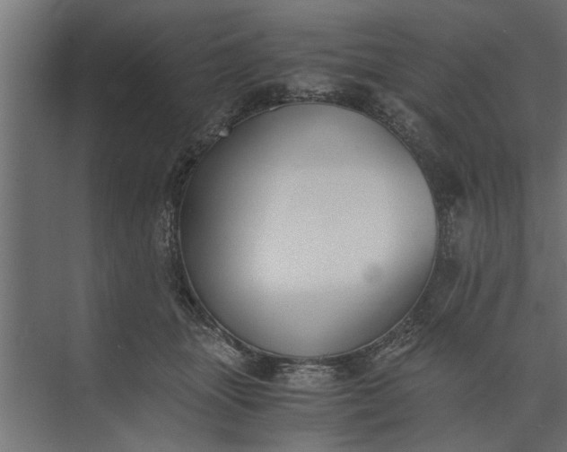 X0000073840463200608241021