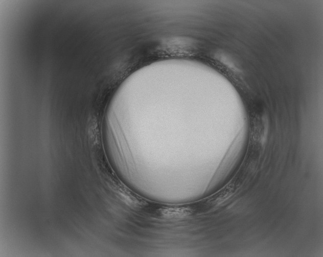 X0000073840465200608241021