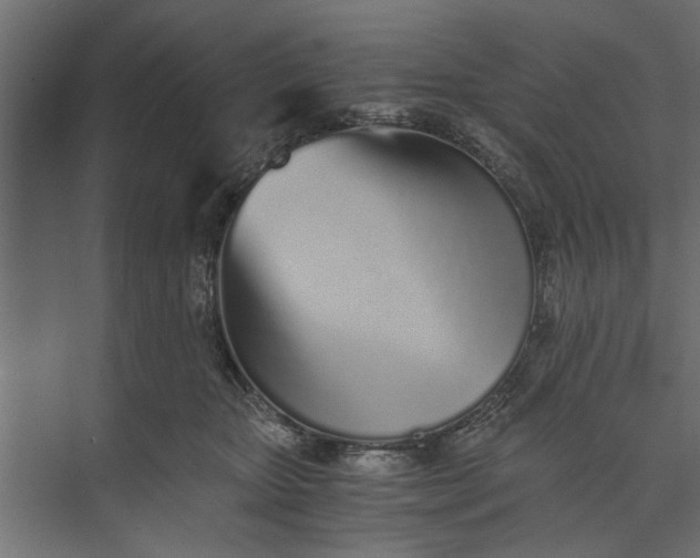 X0000073840467200608241021