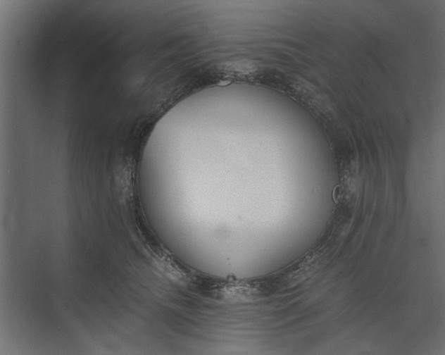 X0000073840468200608241021