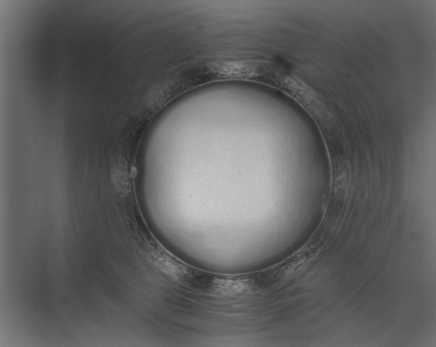 X0000073840469200608241021