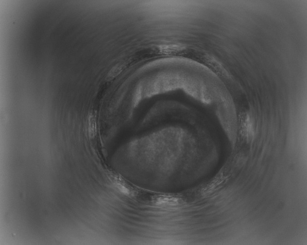 X0000073840471200608241021