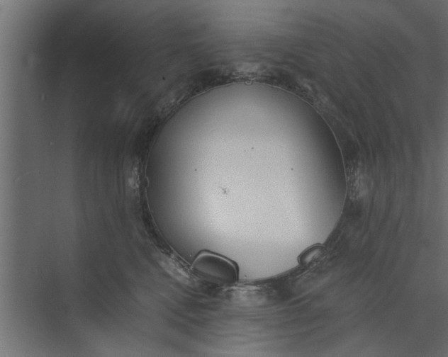 X0000073840472200608241021