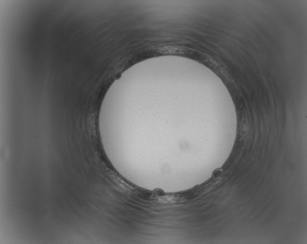 X0000073840473200608241021