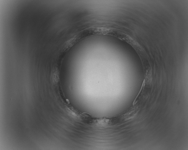 X0000073840474200608241021