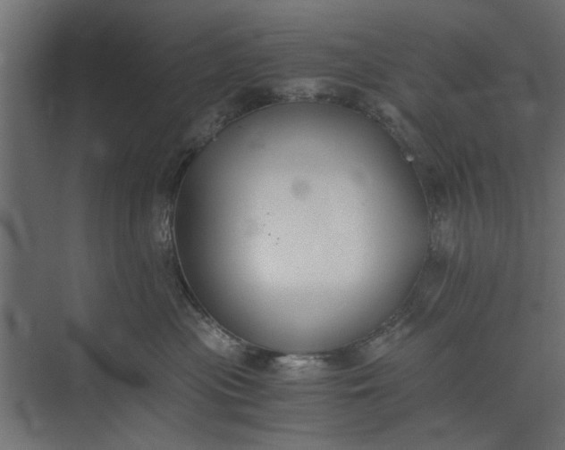 X0000073840477200608241021