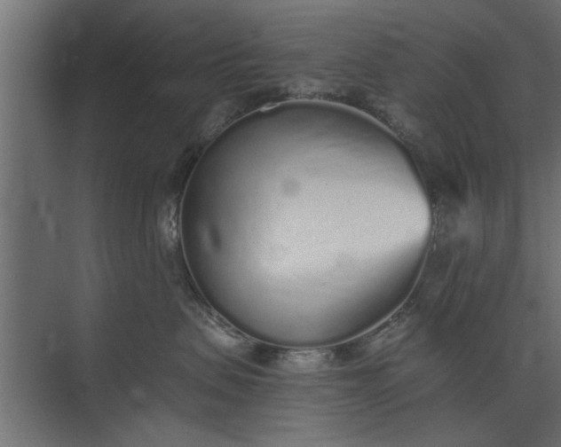 X0000073840479200608241021