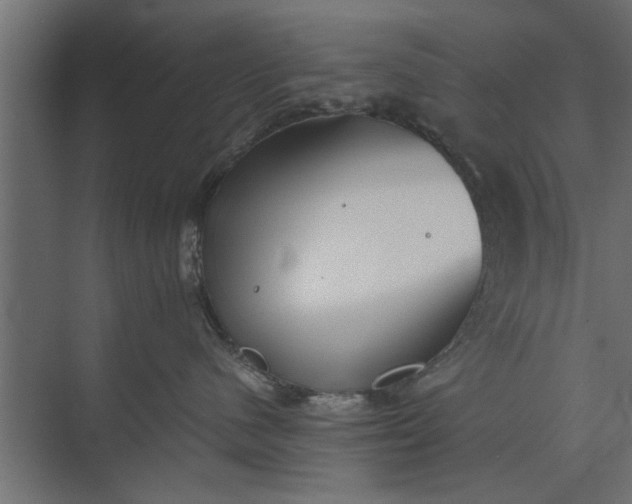 X0000073840480200608241021