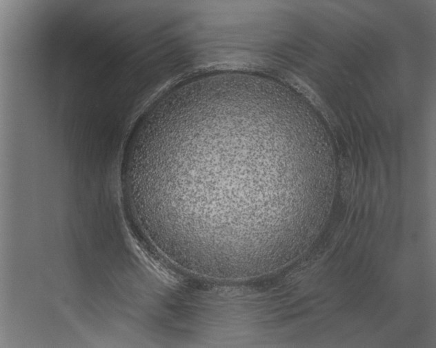 X0000073840482200608241021