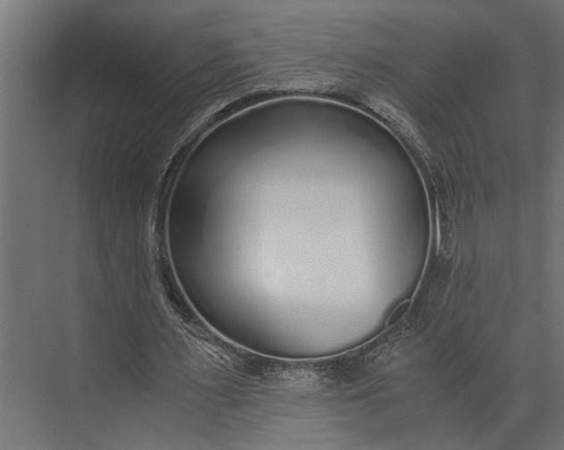 X0000073840483200608241021