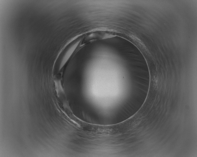 X0000073840484200608241021