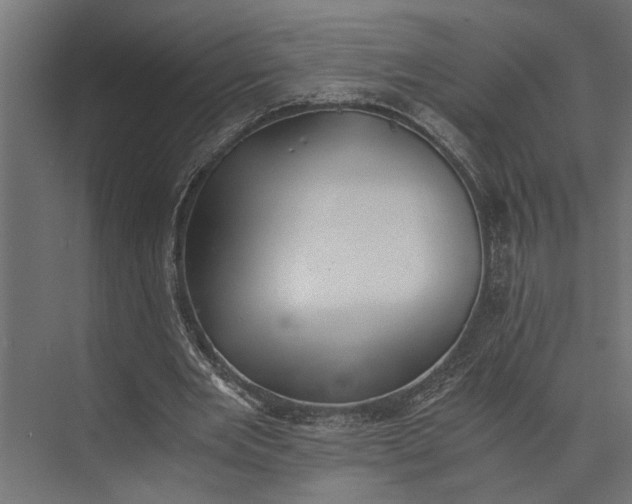 X0000073840485200608241021