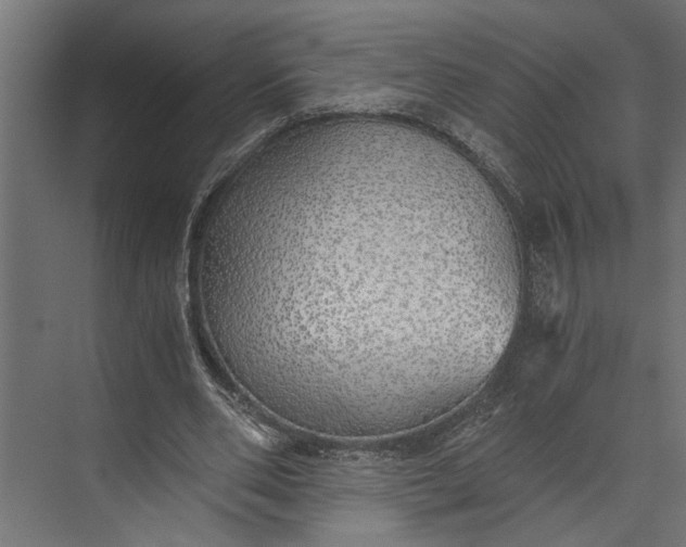 X0000073840486200608241021