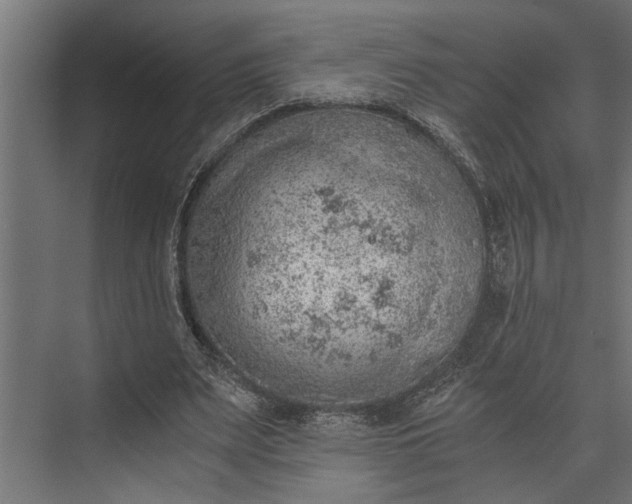 X0000073840487200608241021