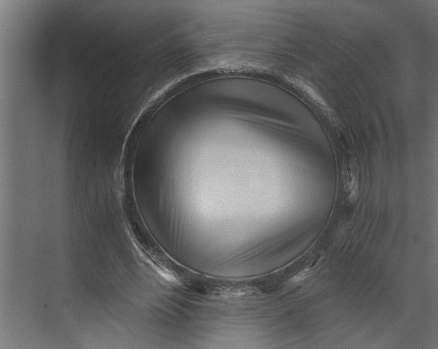 X0000073840488200608241021