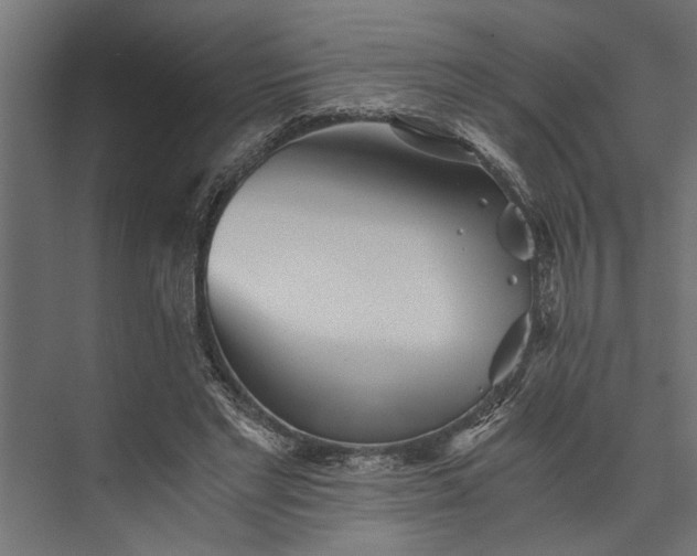 X0000073840493200608241020