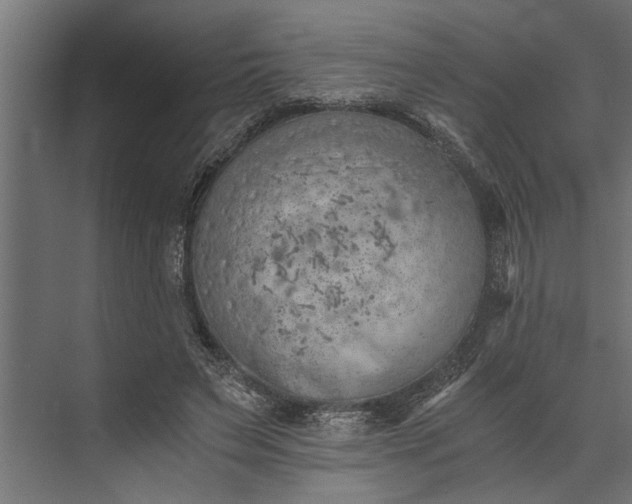 X0000073840495200608241020