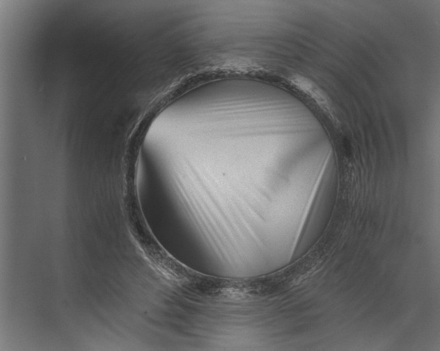 X0000073840496200608241020