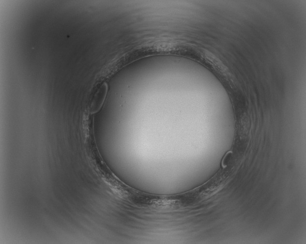 X0000073840497200608241020