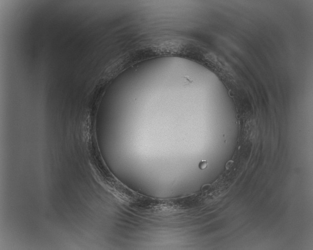 X0000073840498200608241020