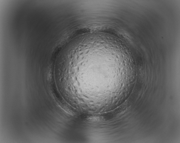 X0000073840499200608241020