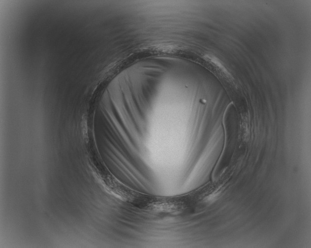 X0000073840500200608241020