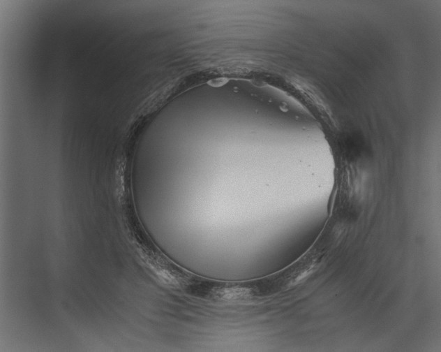 X0000073840501200608241020