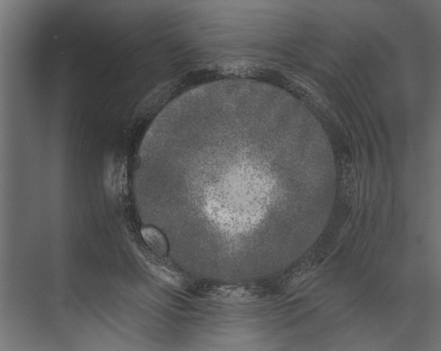 X0000073840502200608241020