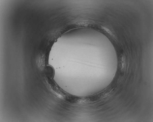 X0000073840504200608241020