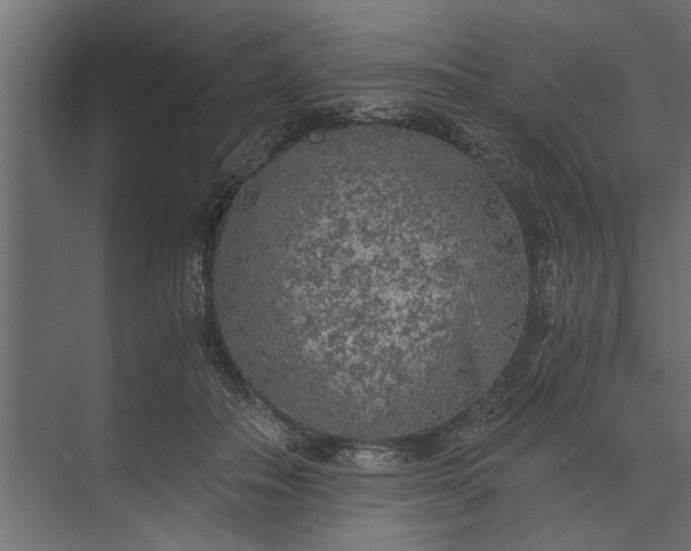 X0000073840506200608241020