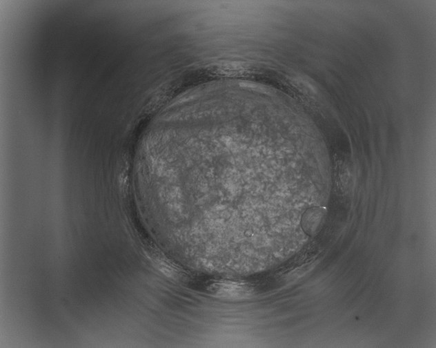 X0000073840507200608241020