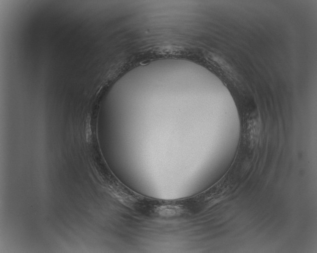 X0000073840508200608241020