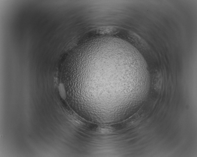 X0000073840510200608241020