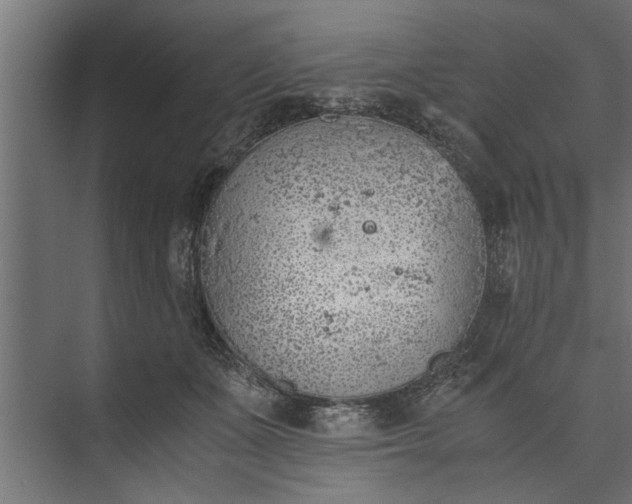 X0000073840511200608241020