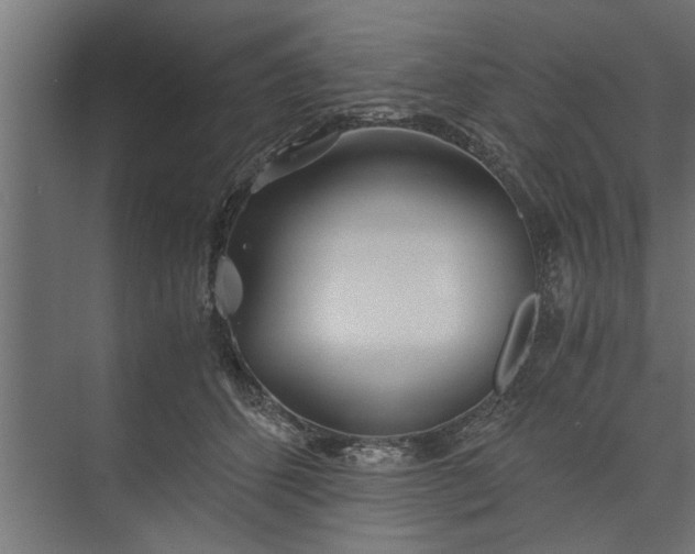 X0000073840512200608241020