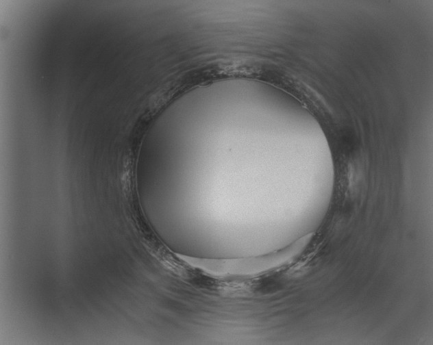 X0000073840513200608241020