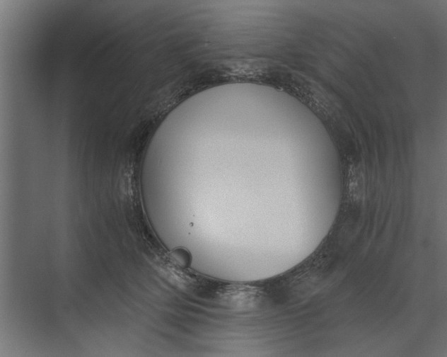 X0000073840514200608241020