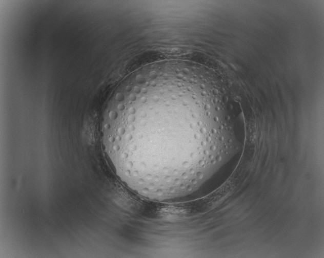 X0000073840515200608241020